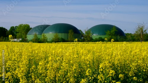 Biogasanlage und Rapsfeld