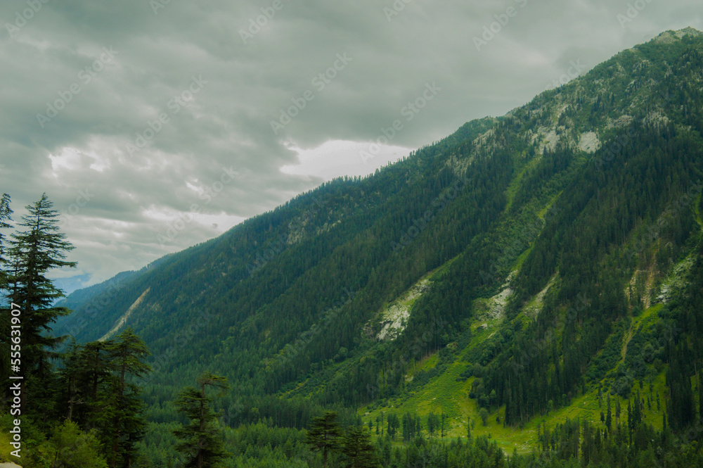Landscape of Beautiful Green Mountain 