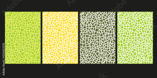Green melon texture for pattern, vector art