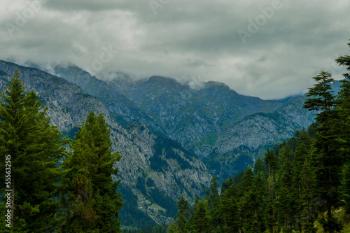 Beautiful Landscape of Mountain in Forest