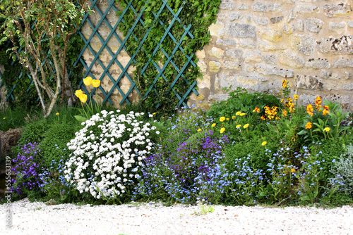 Spring garden flower bed, biodiversity, multicolored flowers, diversity, variety plants home