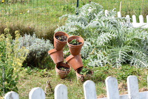 Vegetable garden garden perennial simple culture, artichoke and strawberries, aromatic plants. cultivate