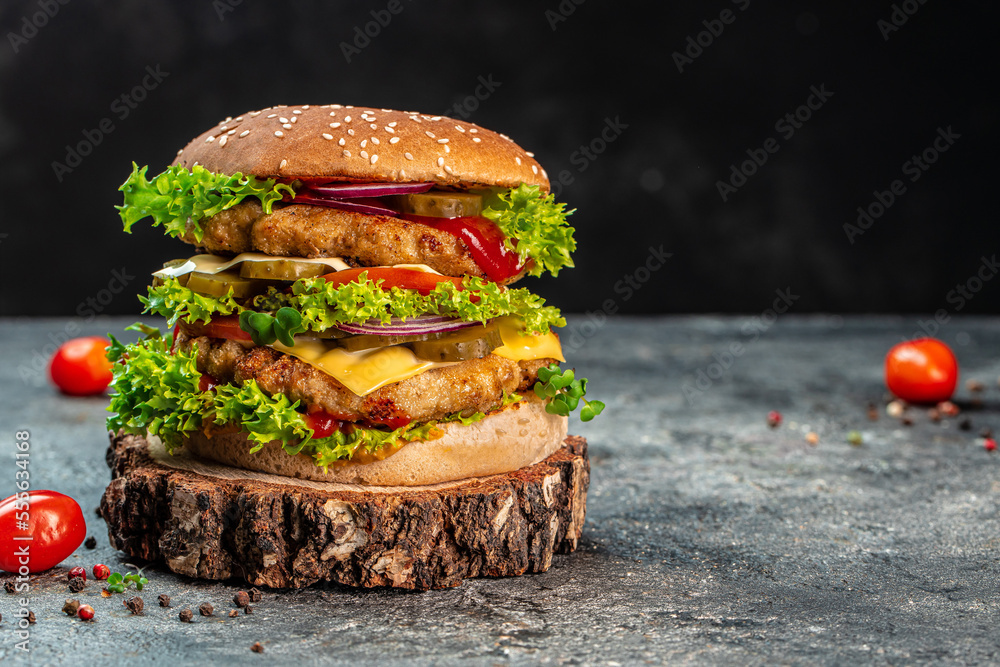 home made tasty burger cheese slice, tomato, onion,lettuce, mayonnaise