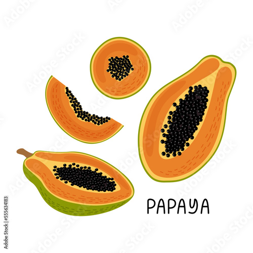 Vector illustration of a  collection of ripe fresh papaya, fruit halves, pieces and slices. Fruit illustration in flat style isolated on white background.