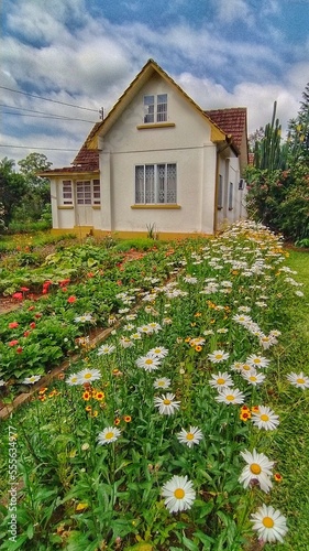house with flowers