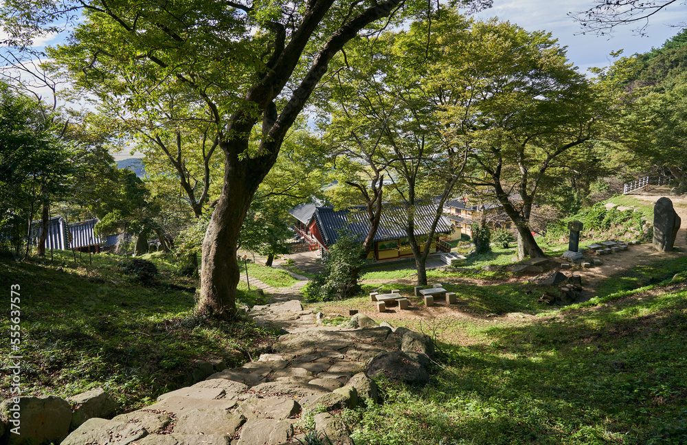 Fototapeta premium 한국의 사찰