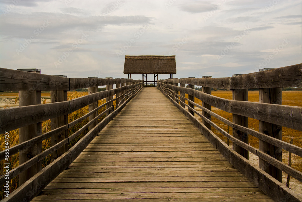 Obraz premium Wooden pier in the Water Buffalo Reserve in Hungary