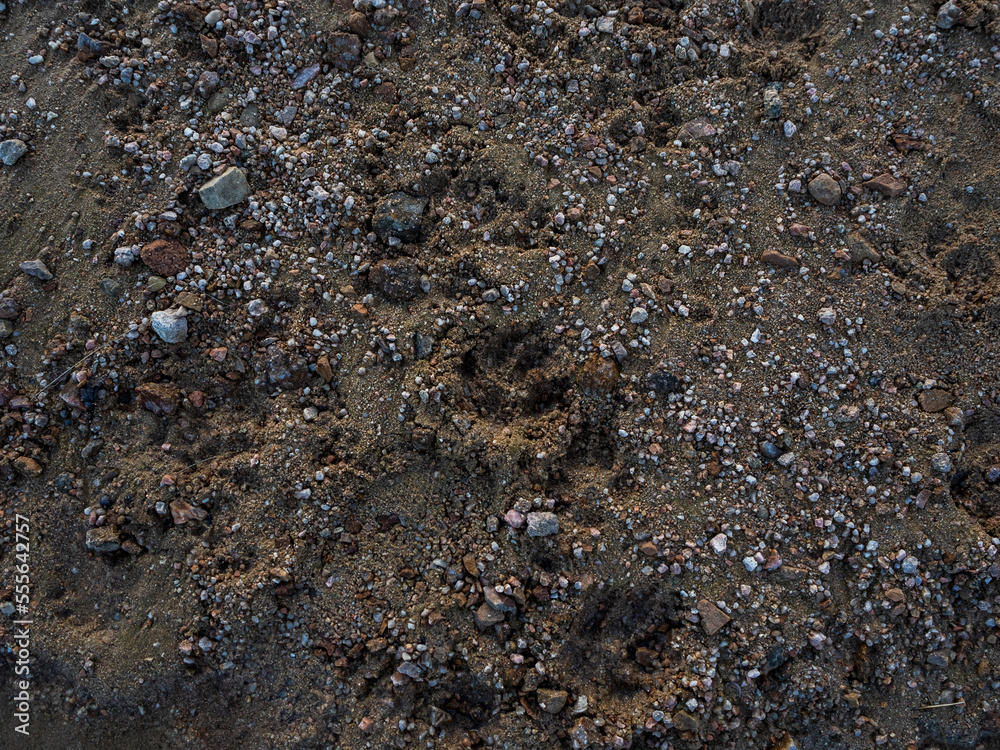 imagen detalle textura suelo de tierra y piedras de distinto tamaño imagen detalle textura suelo de tierra y piedras de distinto tamaño