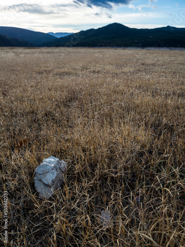 imagen en perspectiva de una piedra entre las hierbas secas con las montañas de fondo y el cielo azul con nubes