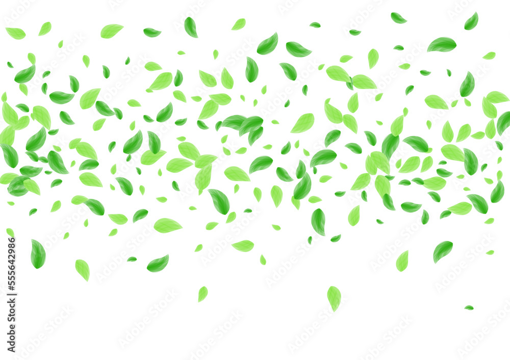 Light Green Greenery Background White Vector. Sheet Beauty Illustration. Twig Texture. Greenish Refreshing Card. Vegetation Garden. Light Green Greenery Background White Vector. Sheet Beauty Illustration. Twig Texture. Greenish Refreshing Card. Vegetation Garden.