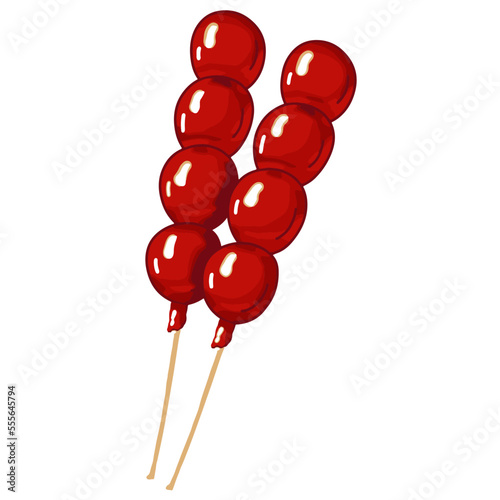 Hand drawn asian candied fruits. Vector illustration of caramel dessert on stick. Japanese ringo ame or anzu ame.