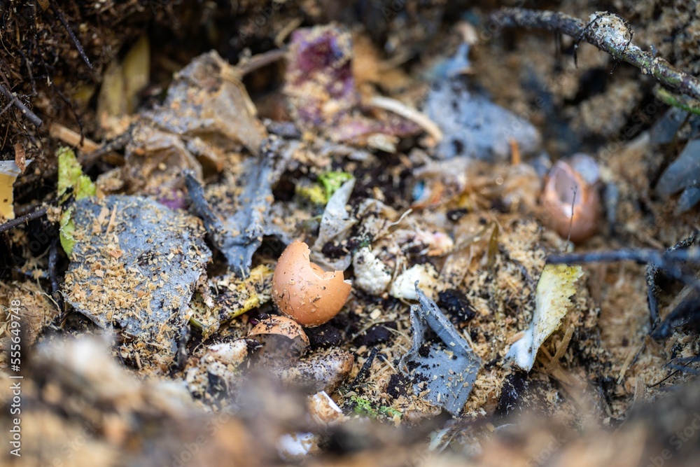 adding food waste to a compost pile. egg shell, vegetable, and fruit scraps turning a compost in a home garden