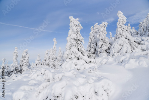 Winter mountain landscape. Karkonosze in winter in Poland.