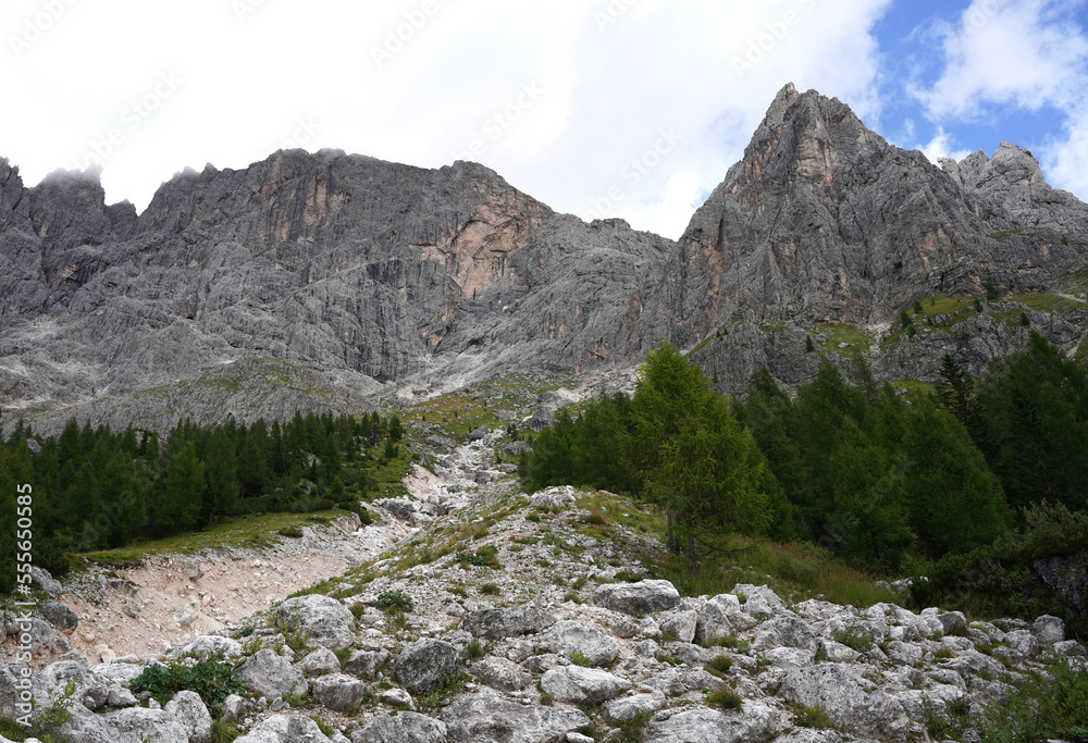 Photo of Italian Dolomites as nature background. Big grey rocks and stones with green trees near. Blue sky. Summertime