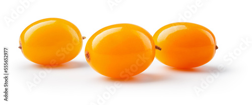Buckthorn isolated. Sea buckthorn on white background. Three buckthorn berries with clipping path. Full depth of field.