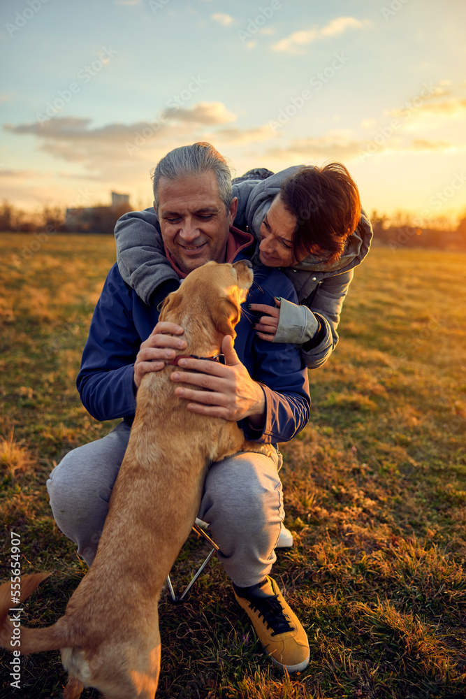 Fototapeta premium Happy couple having fun in nature at sunset. They enjoy spending time with their dog.
