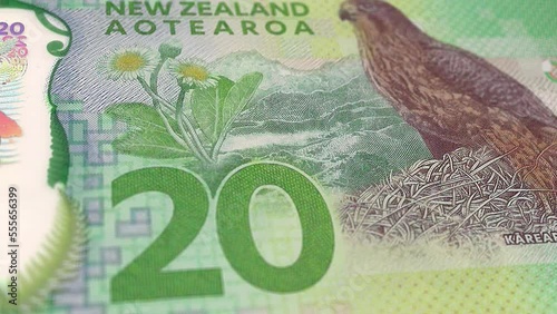 New Zealand New Zealand Dollar 20 Banknotes, Twenty New Zealand Dollar, Close-up and macro view of the New Zealand Dollar, Tracking and Dolly Shots 20 New Zealand Dollar banknote Observe photo