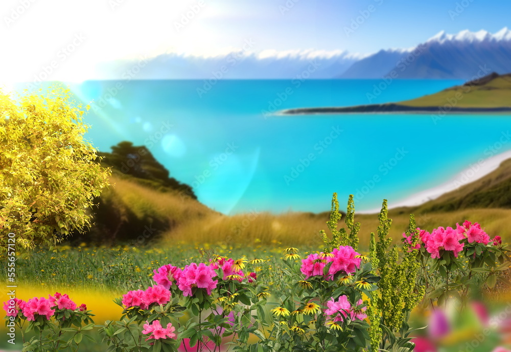 Obraz premium wild flowers and trees blue sky sunlight and mountain on front sea water sea beautiful nature landscape