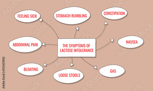the symptoms of lactose intolerance. Vector illustration for medical journal or brochure.