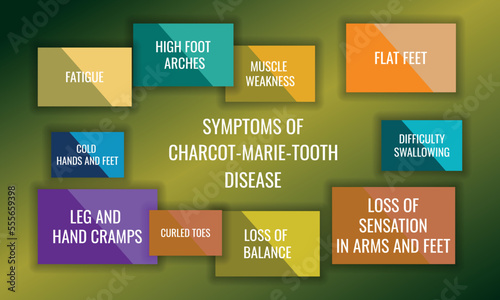 symptoms of Charcot-Marie-Tooth disease. Vector illustration for medical journal or brochure.