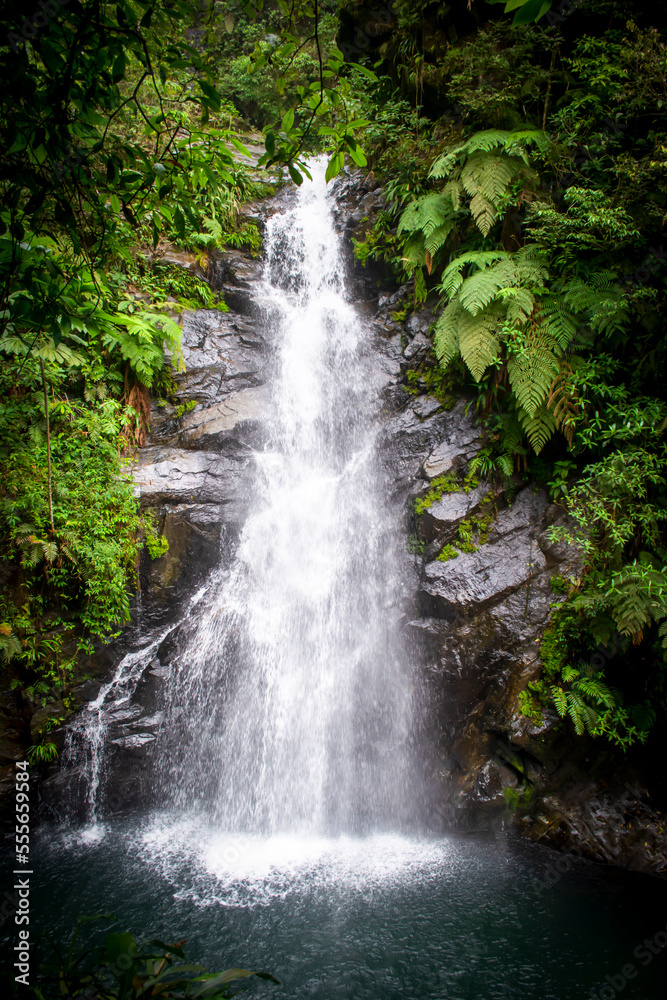 Naklejka premium waterfall in the forest