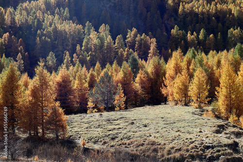 Couleurs d'automne dans le Queyras