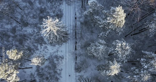 runner runs on a snow-covered road in the forest in winter, shot of a runner in winter from a drone