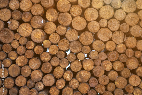 Background of round neatly stacked firewood. Firewood texture. Chopped stack of firewood under snow. Preparation of firewood for the winter.