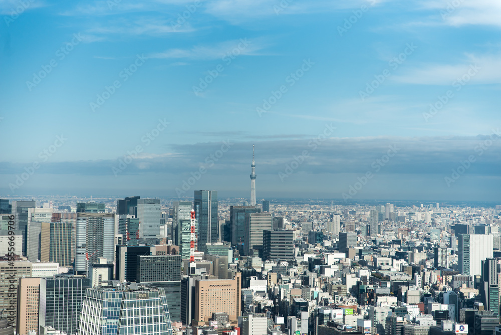 Fototapeta premium Tokyo skyline endless skyscraper from tower