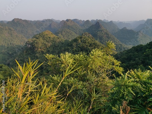 View to scenic landscape with green mountains. Cat Ba Island, National Park Cat Ba. Deep jungle in Cat Ba island. Vietnam