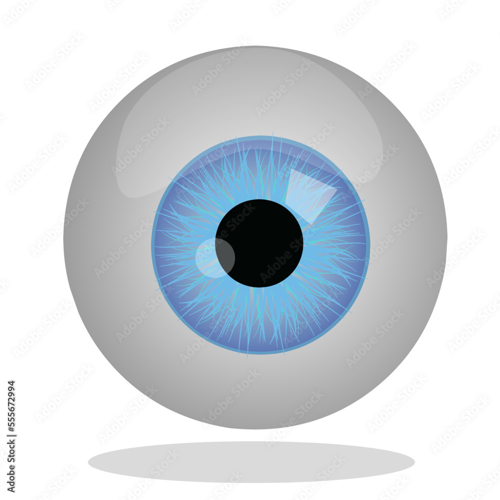eyeball vector illustration with reflection eyeball vector illustration with reflection