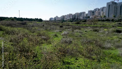 4k Drone Video- the last remains of Rechovot old historical orange fruit orchards and vast agricultural open fields on the Eastern outskirts of the city of Rehovot- Israel
