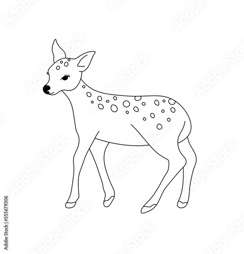 Vector isolated cute cartoon baby spotted deer fawn with spots side view colorless black and white contour line easy drawing