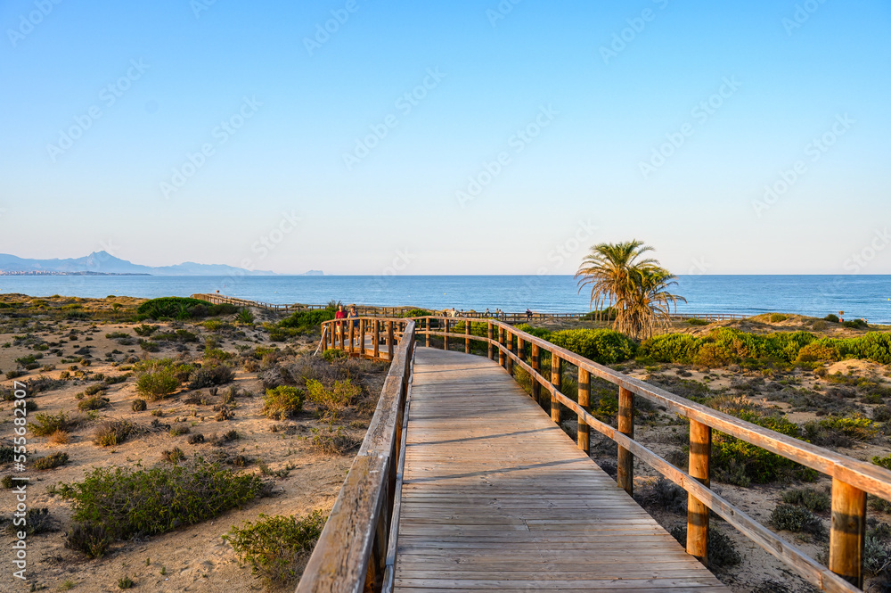 Elche beach in the golden dusk light. Landscape and scenic in the famous place and tourist attraction, Spain