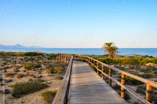 Elche beach in the golden dusk light. Landscape and scenic in the famous place and tourist attraction, Spain