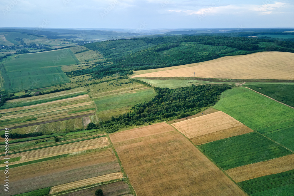 Aerial landscape view of green and yellow cultivated agricultural fields with growing crops on bright summer day