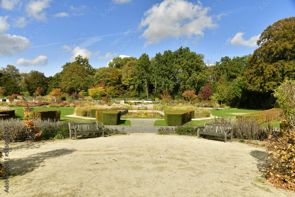 Le Jardin des Fleuristes avec ses plantes diverses entre les chemins et place en automne , à Laeken