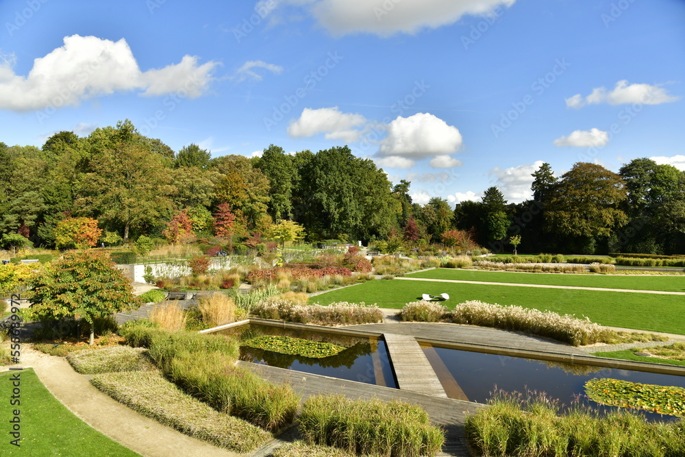 Le Jardin des Fleuristes avec ses pièces d'eau ,ses pelouses et les plantes en automne à Laeken 