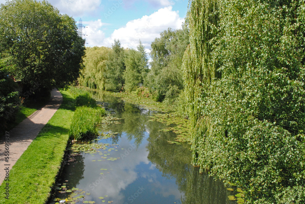 View of Tranquil Rural Canal on Sunny Summer Day 