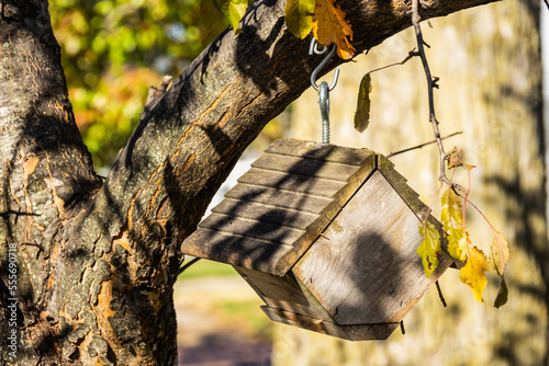 A small birdhouse hanging on a tree in the late fall sunlight.