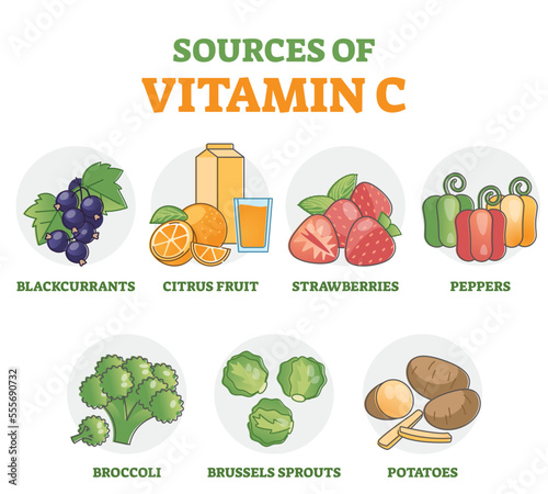 Sources of vitamin C as food supplement in diet products outline diagram. Nutrition benefits rich vegetables, fruits and berries collection set as antioxidant for immune system vector illustration.