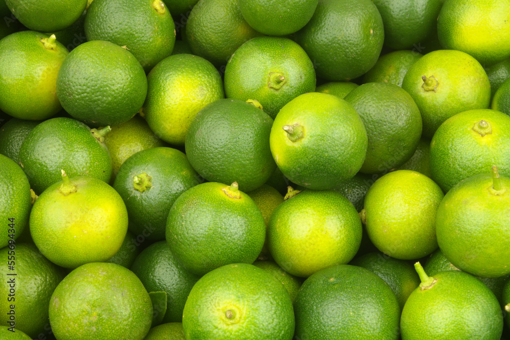 Fresh green limes background. Many ripe calamansi limes close up. Fresh green limes background. Many ripe calamansi limes close up.