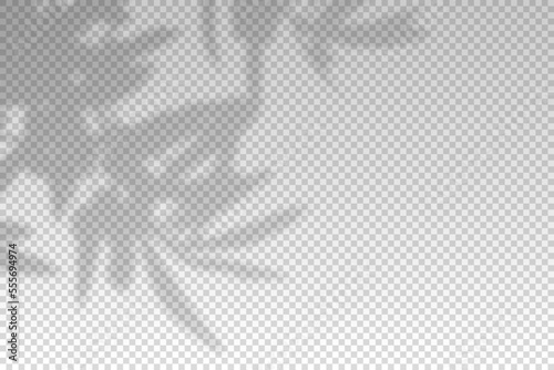 Tree leaf shadow. Plant leaves overlay shade. Soft reflect light from branches. Sun rays reflection from flowers. Reflected shades plants isolated on transparant background. Vector illustration