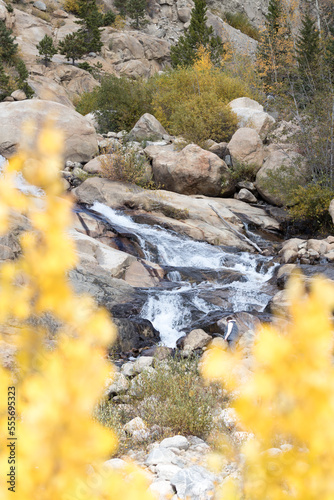 A view of a creek with waterfall between two bright yellow aspen trees in the Rocky Mountain National Park in Colorado.