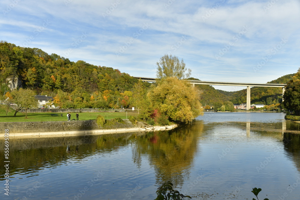 Paysage bucolique vers la fin de journée en automne le long de la Meuse à Anseremme 