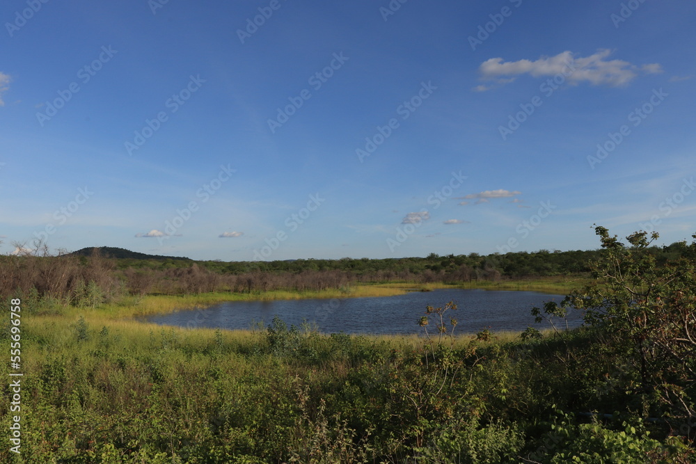 LANDSCAPE WITH WATER AND BLUE SKY. NORTHEAST OF BRAZIL. CAATINGA BIOME