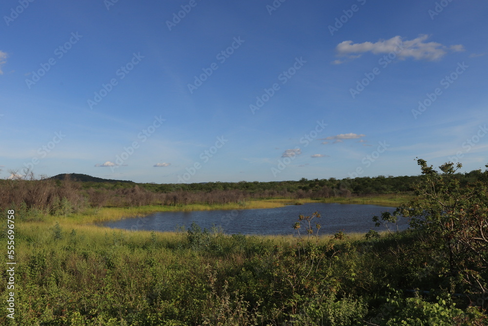 LANDSCAPE WITH WATER AND BLUE SKY. NORTHEAST OF BRAZIL. CAATINGA BIOME LANDSCAPE WITH WATER AND BLUE SKY. NORTHEAST OF BRAZIL. CAATINGA BIOME