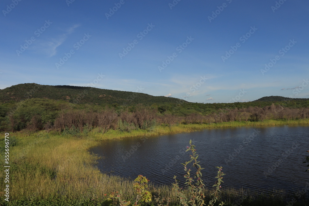 LANDSCAPE WITH WATER AND BLUE SKY. NORTHEAST OF BRAZIL. CAATINGA BIOME
