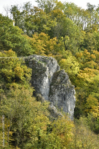 Pan de rocher émergeant de la forêt dense sur les pentes des falaises de Freyr à Anseremme au sud de Dinant 