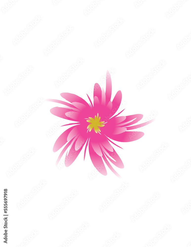 abstract beautiful color flower vector .